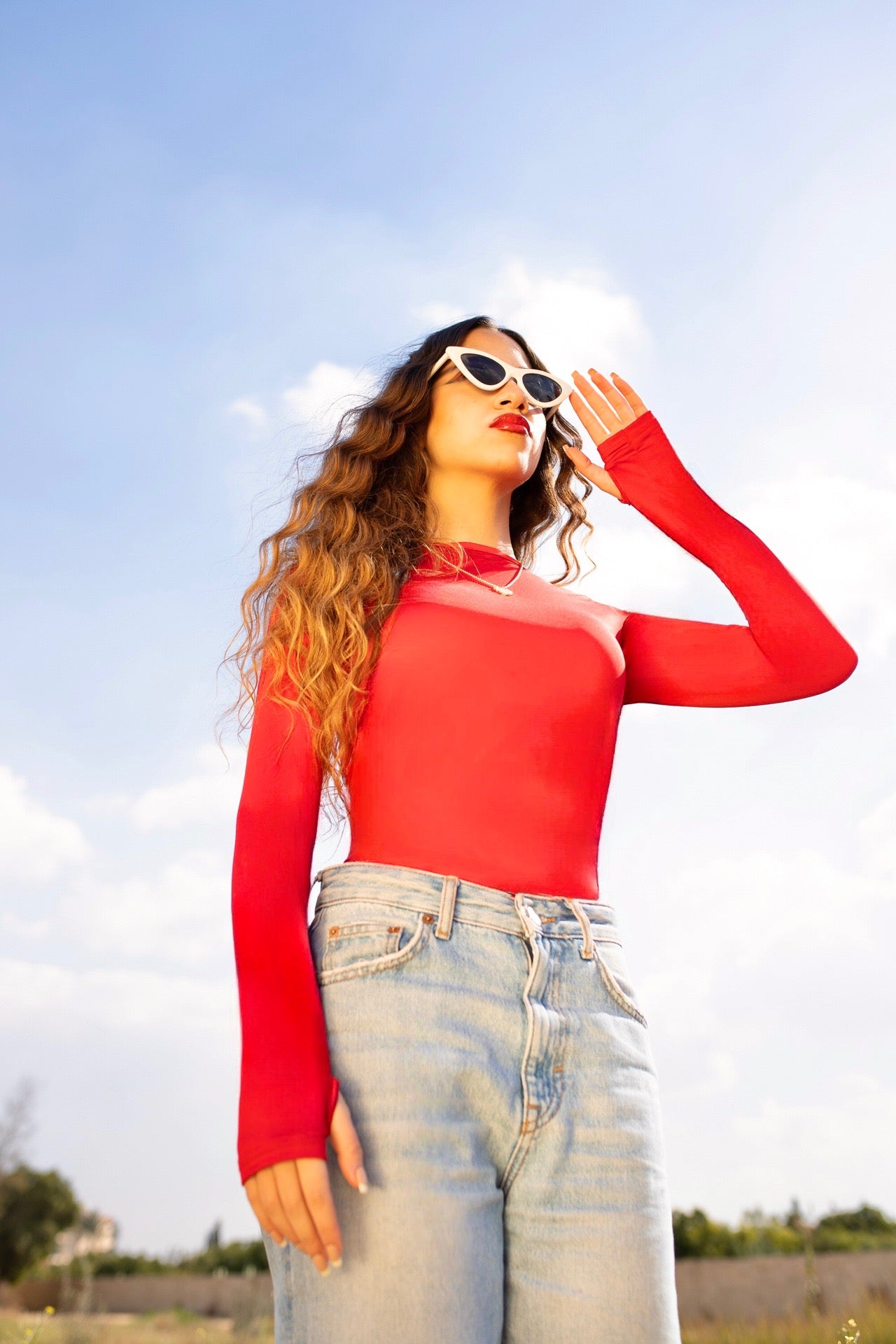 Red Shades Long Sleeves Round Top