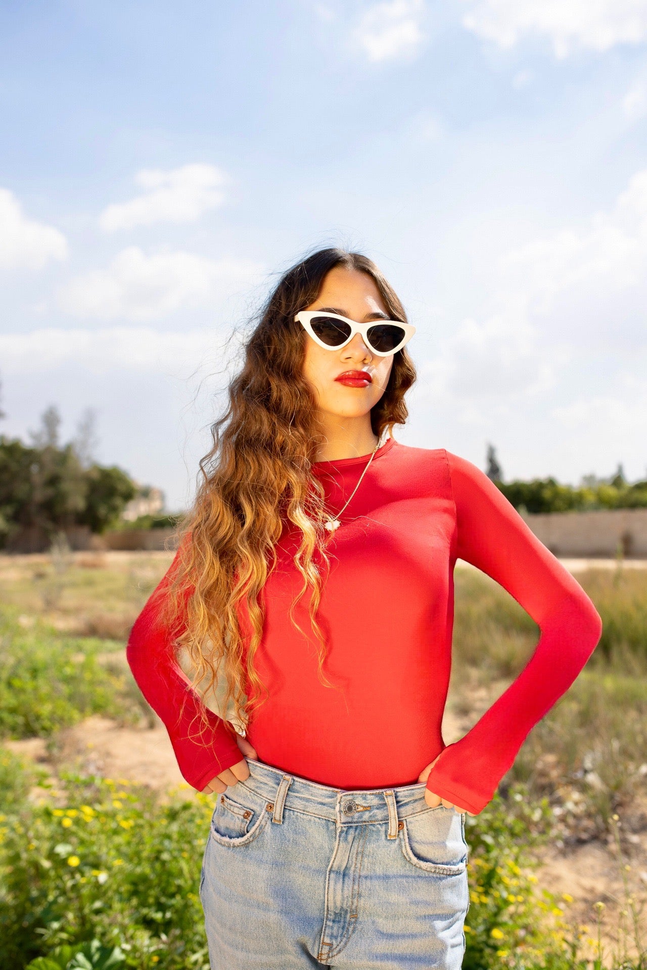 Red Shades Long Sleeves Round Top